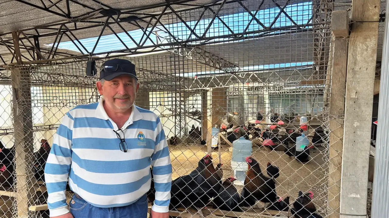 Gallinas adaptadas al frío: el productor de Ushuaia que obtiene huevos azulados