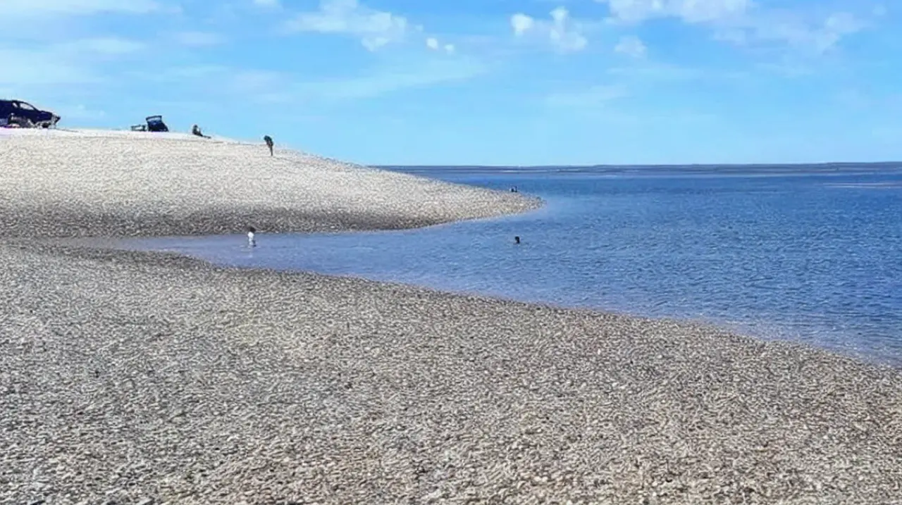 Punta Perdices, la caleta patagónica que cambia dos veces al día con la marea