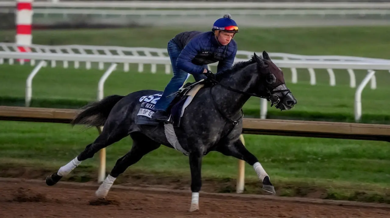 Chunk of Gold, una apuesta mínima que llegó a la Breeders’ Cup