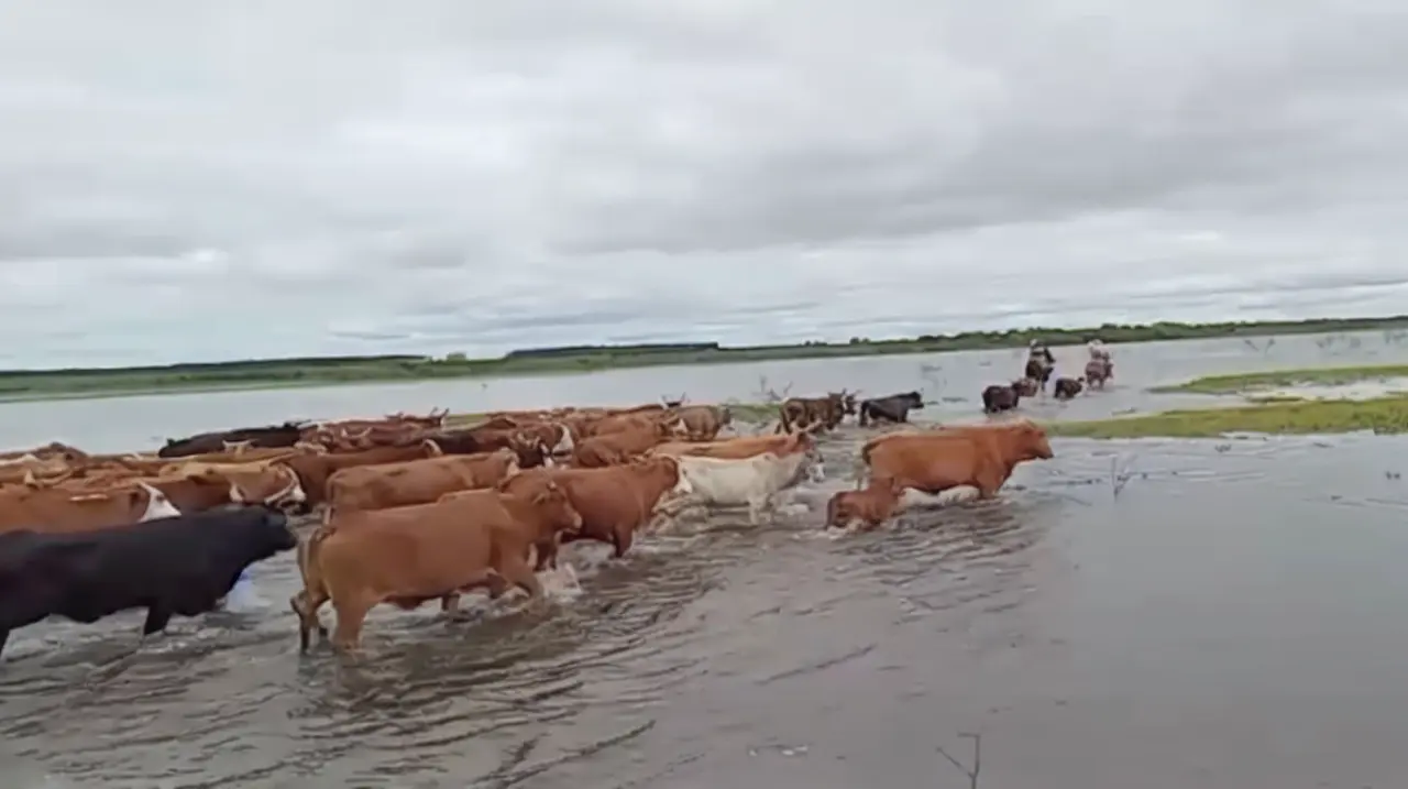El Niño: la superficie con agua en Corrientes aumentó 53,4% en un mes