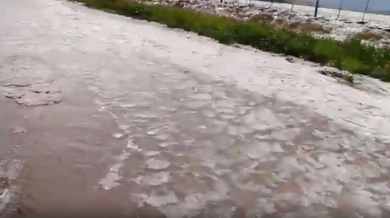 Granizo y poca luz complican al trigo en el sudeste bonaerense